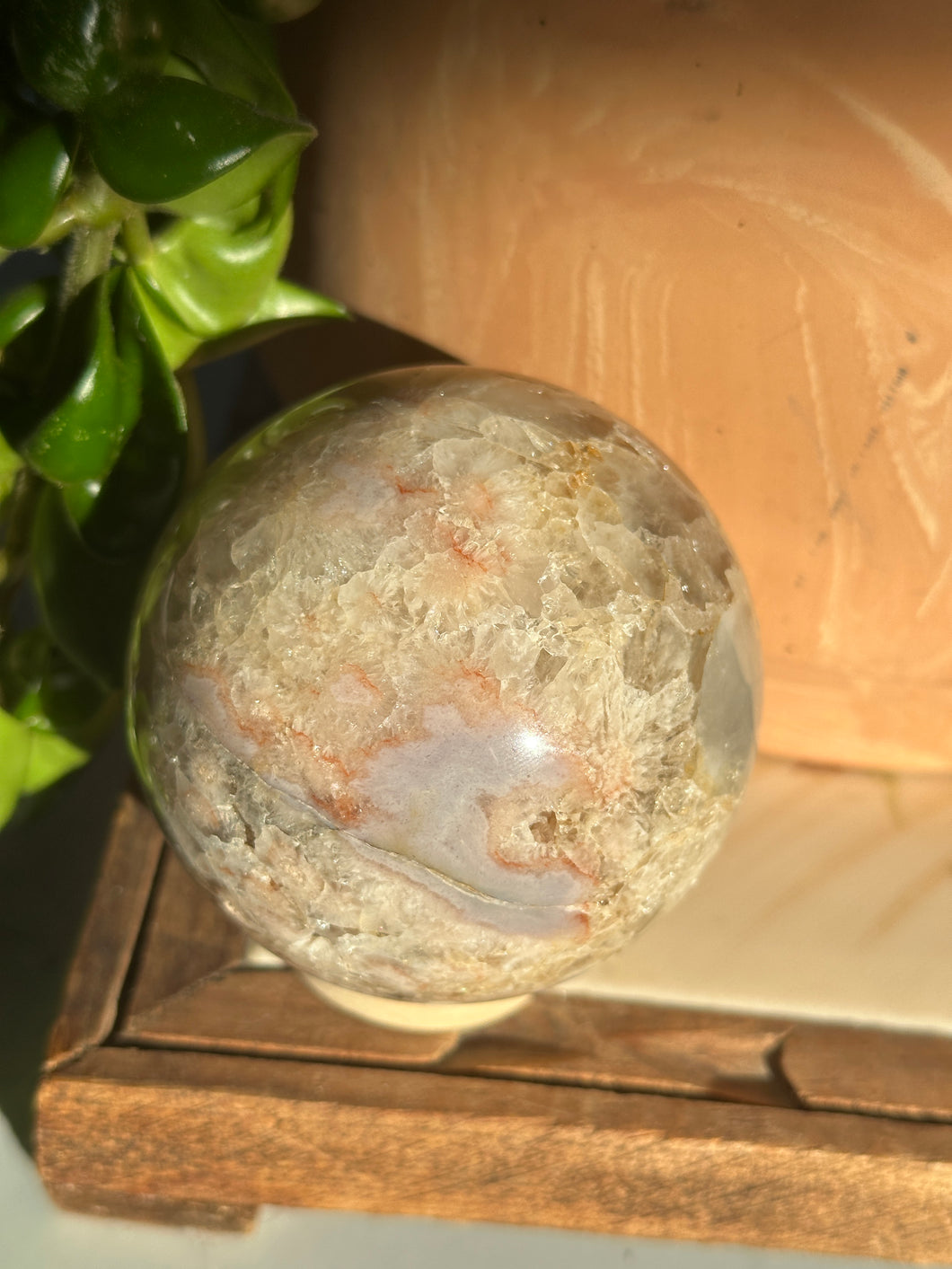 Flower Agate Sphere | Growth & Inspiration