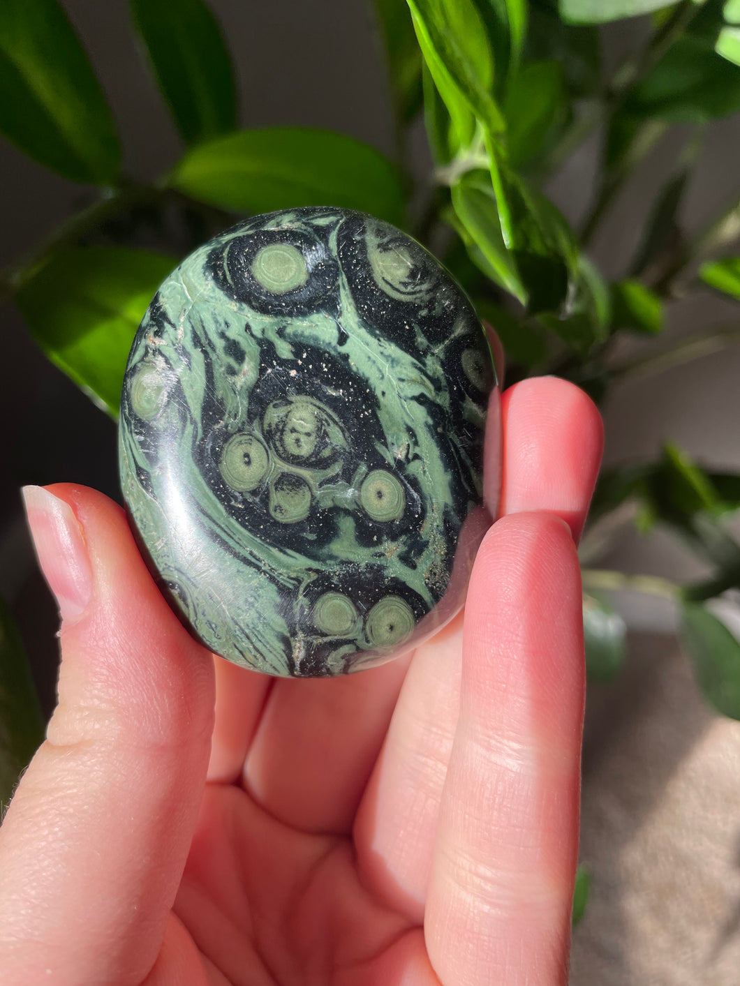 Kambaba Jasper Palm Stone