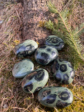 Load image into Gallery viewer, Kambaba Jasper Palm Stone
